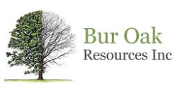 Bur Oak Resources Connects Indigenous Communities to Net Metering Programs in Ontario