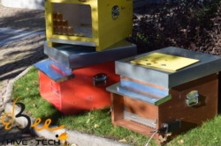 3Bee: Hive-Tech for bee research