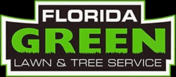 Full Tree Services Including Tree Removal in Mulberry, FL Announced by Florida Green Tree, LLC