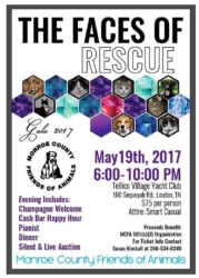 Monroe County Friends of Animals fundraising gala date and theme set