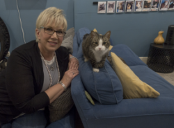 The Brooklyn Cat Café Receives Big Donation From Wellness® Natural Pet Food