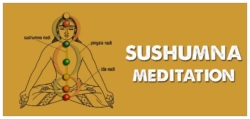 Sushumna Meditation - Yoga & Meditation in India
