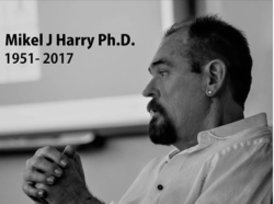 Dr. Mikel J. Harry Ph.D - SSMI