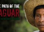 Flyfishermen Aim to Protect Colombia's Rivers With New Documentary