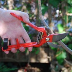 Beville Gardens Improves Its Pruning Shear