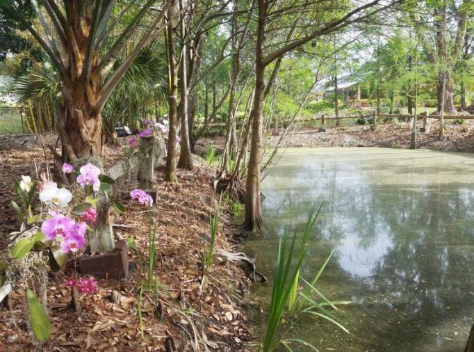 Mounts Botanical Garden of Palm Beach County to Host Annual CONNOISSEURS GARDEN TOUR Mounts Botanical Garden of Palm Beach County to Host Annual CONNOISSEURS GARDEN TOUR