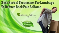 Best Herbal Treatment For Lumbago To Reduce Back Pain At Home