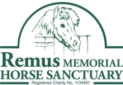 New Attractions at Sanctuary Open Day