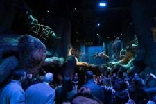 Thinkwell Group Congratulates Warner Bros. on the Opening of the Forbidden Forest Expansion at Warner Bros. Studio Tour London - The Making of Harry Potter