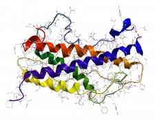 Richard Rodriguez, Celebrity Fitness Trainer, Discusses the Benefits of Somatropin HGH Therapy