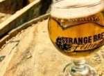 Who Says Gummy Bears and Beer Don't Make a Perfect Pair?