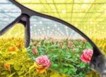 Happy Hydro Launches New Line of Grow Room Glasses