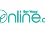 BuyWeedOnline.ca Grows Its Affiliate Marketing Program Again
