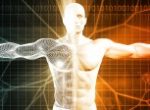 Victory Nutrition International's Groundbreaking Research Sets New Standard for Enzymes