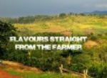 Pro-Bitcoin Flavours Place Platform Strengthens Support to Businesses and Coffee Farmers Worldwide