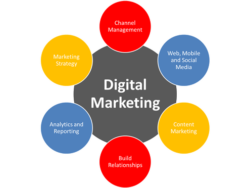 Digital Ripple- A professional digital marketing firm with creative ideas and effective campaigns