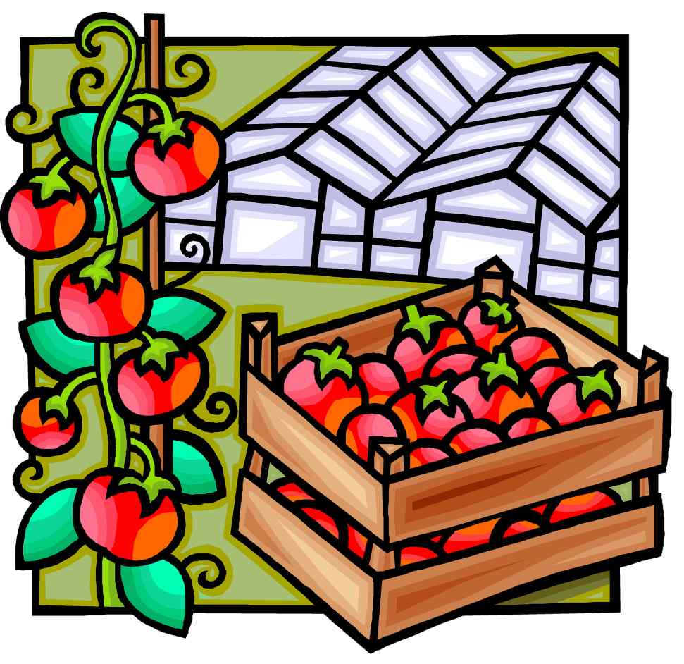 Australian Greenhouse Vegetable Statistics Australian Greenhouse Vegetable Statistics