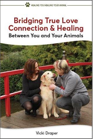 Seattle Entrepreneur Celebrating 1 Year Anniversary of Her Book & Calming Animals for 4th Fireworks Seattle Entrepreneur Celebrating 1 Year Anniversary of Her Book & Calming Animals for 4th Fireworks