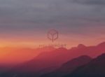 Melonport Announces Official Beta Release of Oyente Smart Contracts Analysis and Verification Tool