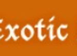 Exotic India Art Offering an Exclusive Range of Quality Kurta Pajamas at Economical Prices