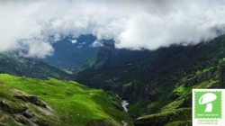 White Mushroom Kasauli is the Best Weekend Getaway Destination
