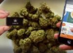 Technology and Markets News Provider, GekBuzz Says, the Marijuana Vape Industry Expected to Reach Billions by 2021