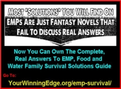 EMP Attack Family Survival Guide PDF Gets International News Coverage