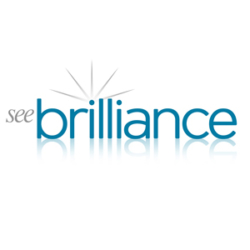 See Brilliance Ltd: Your Go-To Company For Various Restorative Cleaning Services