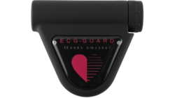 ECG-Guard Helps Users to Take Control of Their Health Through an Intuitive Mobile App