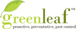 GreenLeaf Pest Control Offers Environment-Friendly Pest Control Services