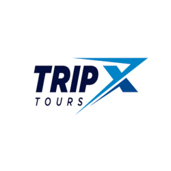 Trip X Tours Offering Efficient And Affordable Dubai Visa Processing Services