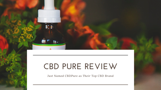 This CBD Pure Review Just Named CBDPure as Their Top CBD Brand This CBD Pure Review Just Named CBDPure as Their Top CBD Brand