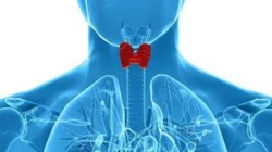 Why do you need to undergo a thyroid test?