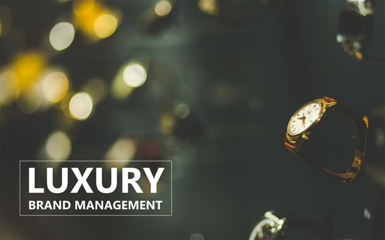 An Insight Into Luxury Brand Management