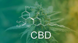 USA To Spend Over $3 Million Investigating CBD