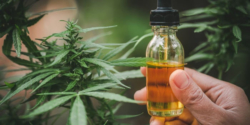 5 Things to Keep in Mind When Choosing CBD Products