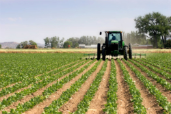 How to Start an Agricultural Business