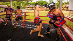 Exotic holiday with Muay Thai training and boxing in Thailand for your new experience