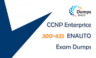 Cisco 300-435 Exam + Practice Tests –Your Straight Path to Professional-Level Certification
