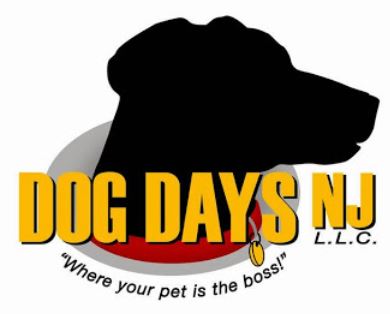 Let Dog Days NJ Take the Lead Looking after Your Family Pet