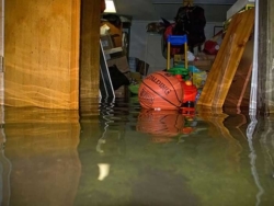 What Are the Risks of a Flooded Basement and What Can You Do About It?