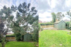 Tree Surgeon Sheffield Informs Residents - Now is the Time to Work on your Trees