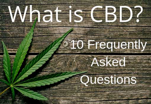 10 FREQUENTLY ASKED CBD QUESTIONS 10 FREQUENTLY ASKED CBD QUESTIONS