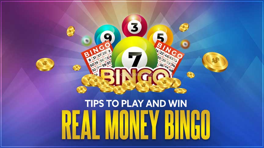 Bingo gaming essentials Bingo gaming essentials