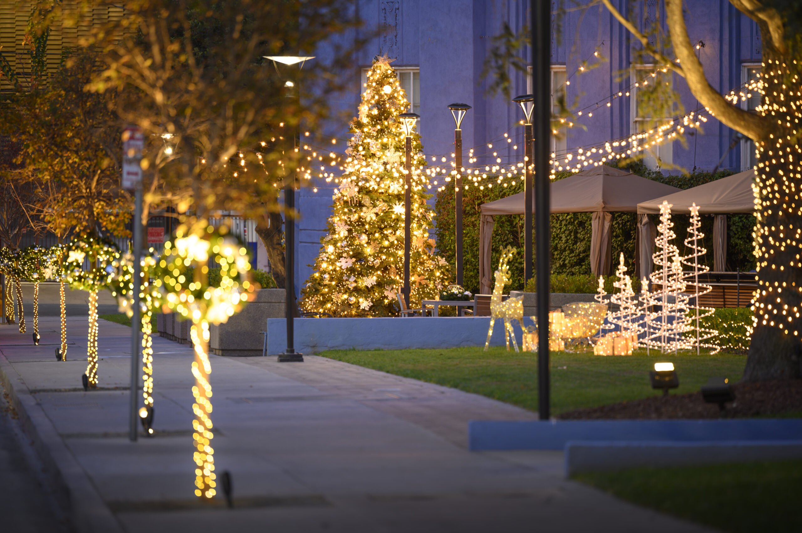 Lighting Up East Hollywood for the Holidays Lighting Up East Hollywood for the Holidays