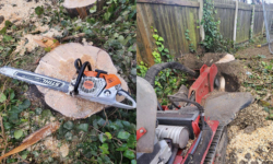 Tree Surgeon – Why Do I Need One As I Can Do It Myself