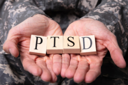 How You Can Support Veterans' Mental Health