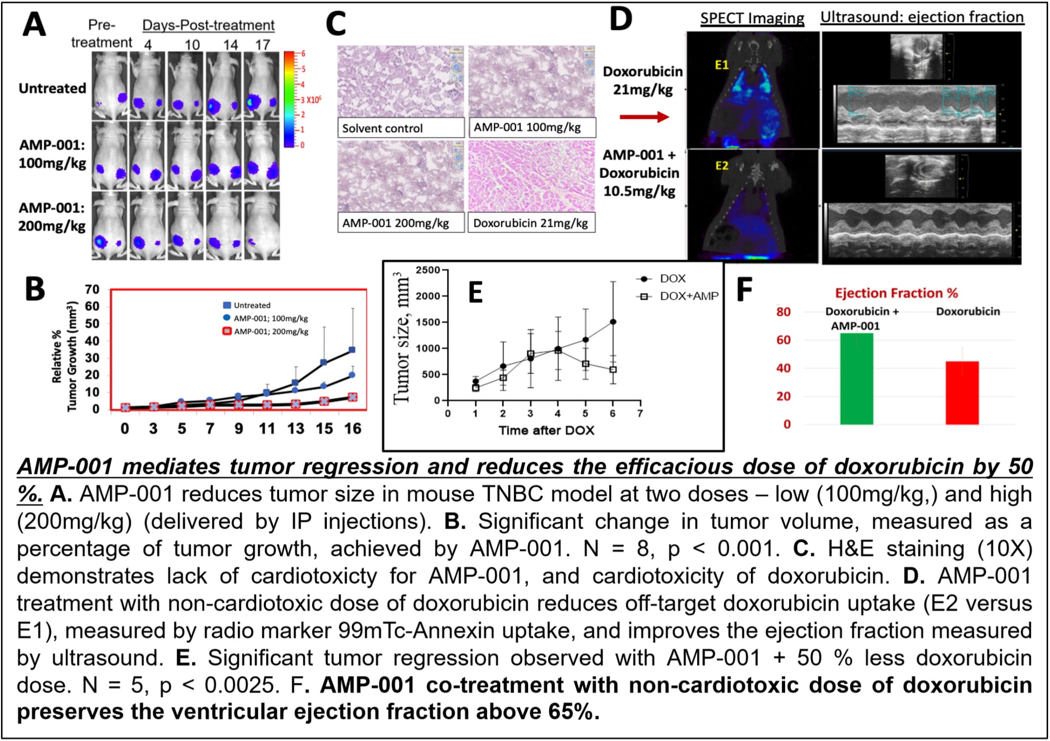 Sci-Engi-Medco Solutions Inc. Announces PLOS Publication of a Novel Mechanism of Action for Its AAAPT Technology Expanding the Therapeutic Index of Difficult to Treat Cancers Sci-Engi-Medco Solutions Inc. Announces PLOS Publication of a Novel Mechanism of Action for Its AAAPT Technology Expanding the Therapeutic Index of Difficult to Treat Cancers