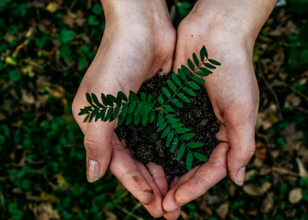 Blinc’s Journey to Making Conscious Cosmetics Blinc’s Journey to Making Conscious Cosmetics