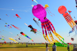 Weifang Soars to New Heights on Kites Wings